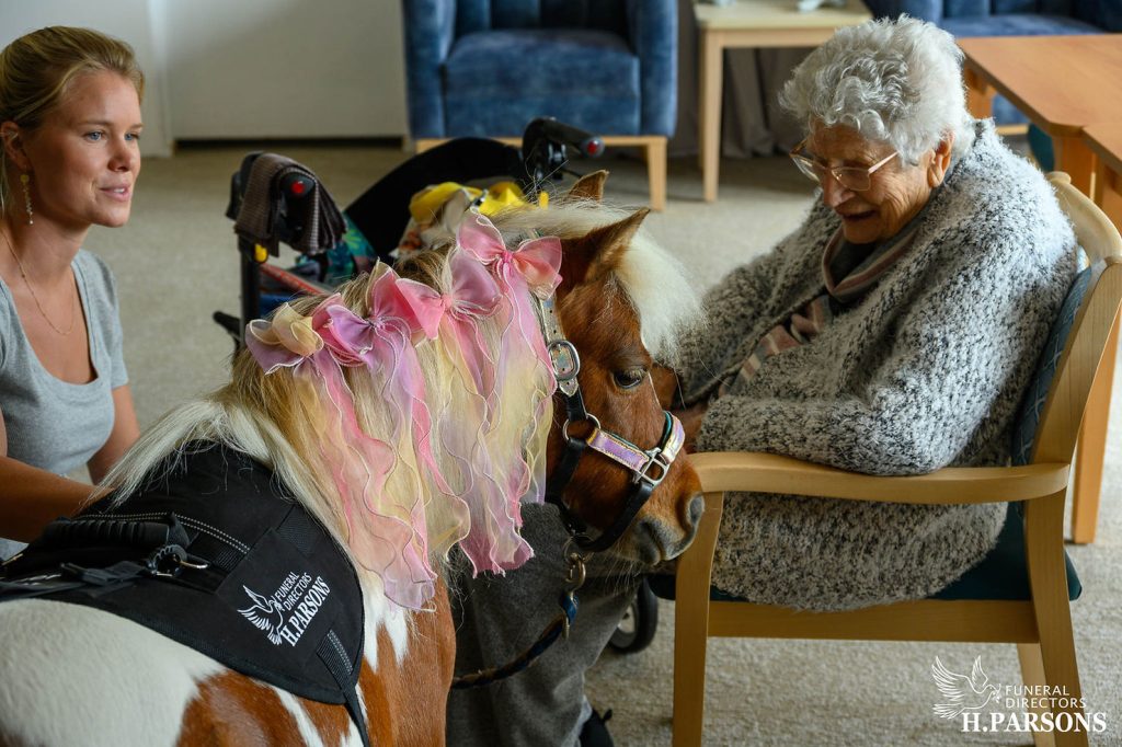 An elderly woman in a care home smiles whilst petting a therapy pony, part of Therapy Horses Illawarra, decorated with pink ribbons and joined by a young woman. The warm, joyful moment features the H. Parsons Funeral Directors logo. by H Parsons Funeral Directors