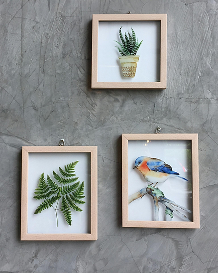 Three wooden-framed pictures hang on a grey textured wall: a potted plant at the top, a green fern leaf on the bottom left, and a colourful bird perched on a branch—thoughtful celebration of life ideas for memorial displays. by H Parsons Funeral Directors