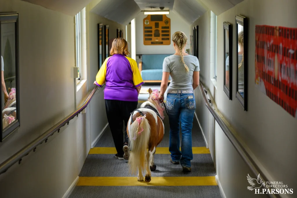 Two women walk down a brightly lit corridor alongside a small therapy horse wearing pink accessories. The H. Parsons Funeral Directors logo appears in the bottom right corner, highlighting their support for therapy horses Illawarra. by H Parsons Funeral Directors