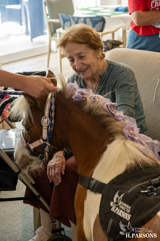 An elderly woman smiles while stroking a small horse dressed in a decorative harness and purple accessories. The horse, part of Therapy Horses Illawarra, wears a vest labelled "H. Parsons Funeral Directors" as another person gently holds it. by H Parsons Funeral Directors