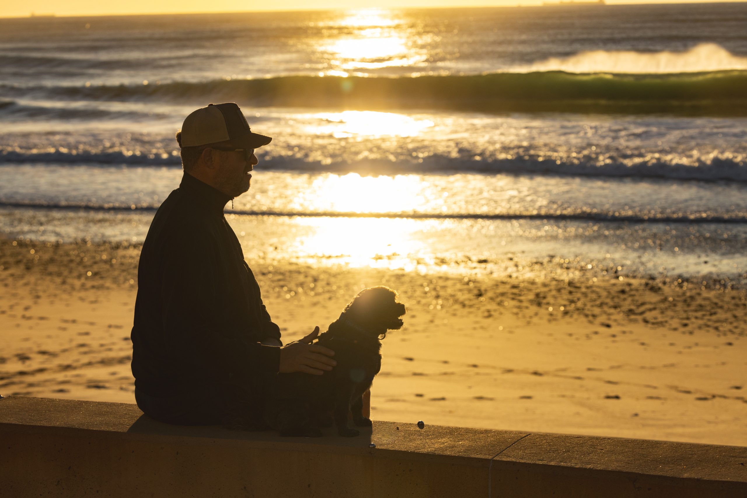A man on the beach and his dog sit on a wall, silhouetted against a golden sundown. by H Parsons Funeral Directors